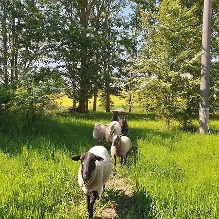 Quaduxenbarg 公寓 Rüggow